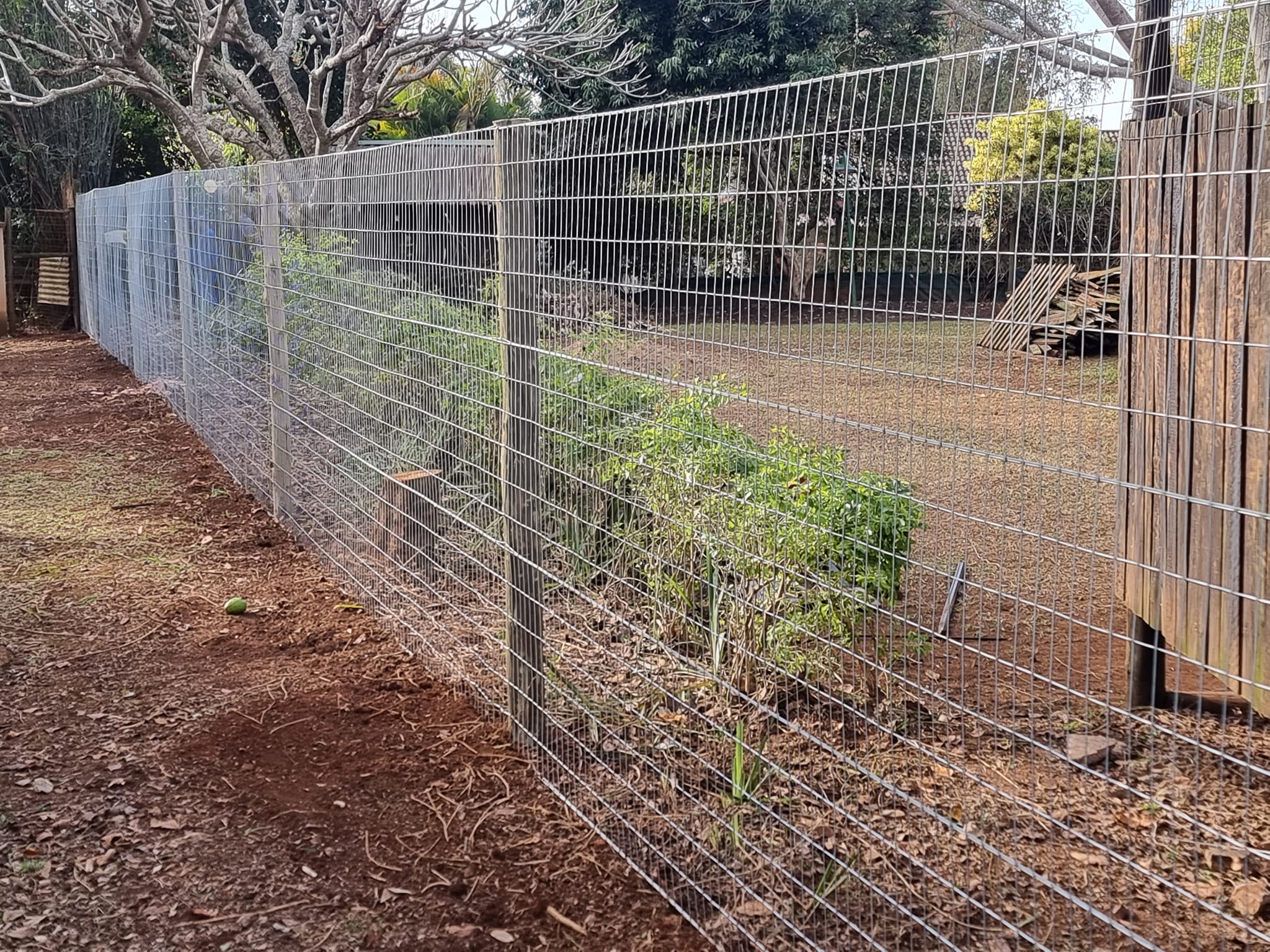 Weld Mesh Fencing